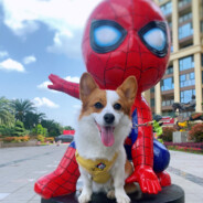 下课来楼梯口一下