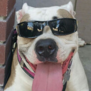 TEZJA JOTE SPOOKY - steam id 76561199427283560