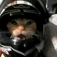 контрл альт делит