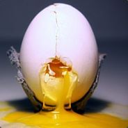 人菜瘾大素质屌差