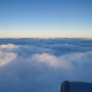 天霸地霸王大大文