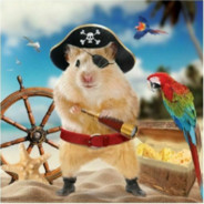 a hamster, lost at sea