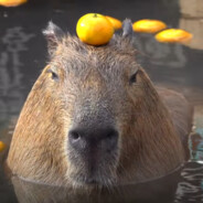 MrGatorGnash - steam id 76561198131324263