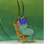 Plankton