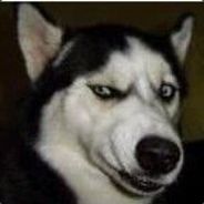 再进呆湾我是狗