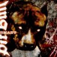 S0DHii #нαмвυяg мιттє