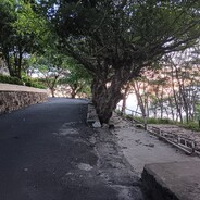 trananhhoanghuy
