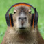 Capybara Gaming