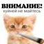 fashion ублюдок