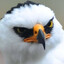 natsodragon123's avatar
