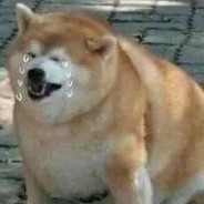 枪马了，我慌了