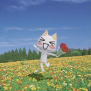 :3