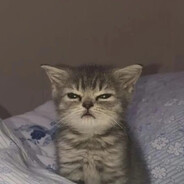 ダークプリンス