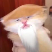 Freksi
