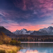 铭言欲语误红尘