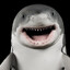 shork