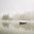 mist