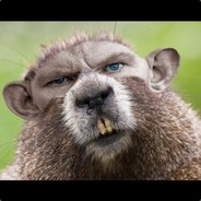 енотик полоскун