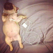 данил колбасенко