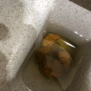 гуцул опіздол