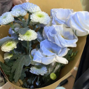 雨水落入樱花