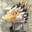BalefirePhoenix