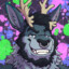 Blitzen Caribroo