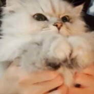 别管了我超厉害