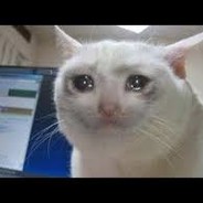 Enough يا دنيا