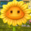 plants vs zombies peek