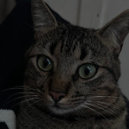 ze