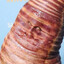 Nightmare Worm