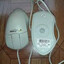 mouse de bolinha