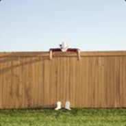 我不是给你买橘子去了