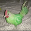 CuliaoPesaoJr