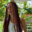 Bandlab Alex