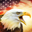 Bald_Eagle_32