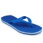 Mr. Blue Chappal