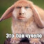 Фэмбойчик1337