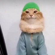 гриша авантюрист