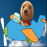 TheFlyingSeal