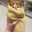 Catpurrito!