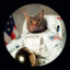 ASTROCAT