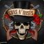 Guns N Roses :-D