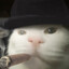 zsh
