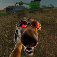 cachorro cura lésbica