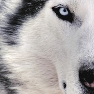 phazy- - steam id 76561198281041868