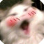 TheCookie400