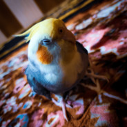 Swaggin' at the partment