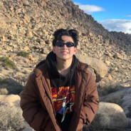 淡绛锦葵美少女